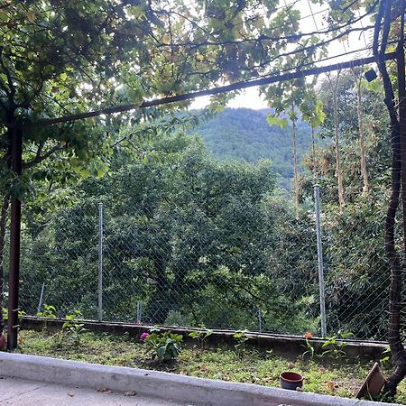 La Cerra -Tiny-House Apartment Mijares  Ngoại thất bức ảnh